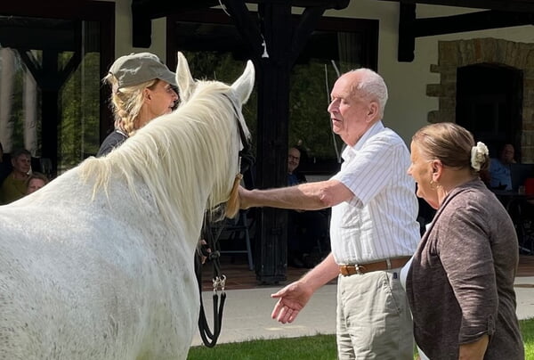 Pferd Shakira in der Tagespflege